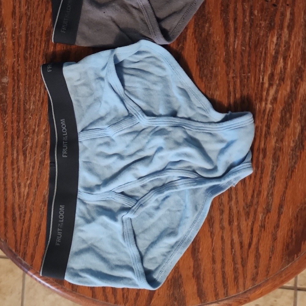 Fruit of the Loom briefs size small